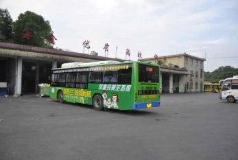 新西蘭智閣板材強勢登陸湖南營銷中心各路公交車